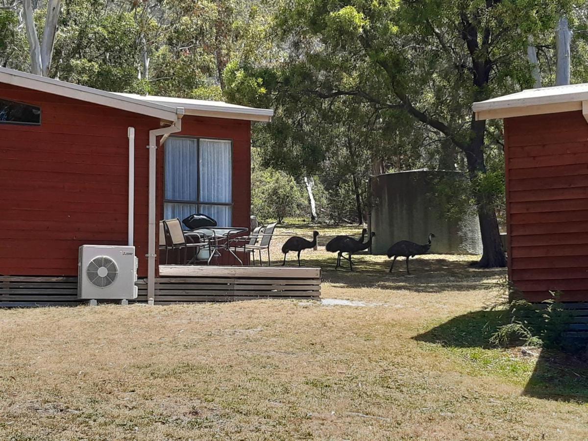 Wonderland Cottages Halls Gap Exterior photo