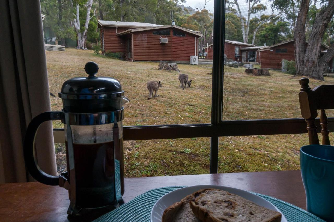 Wonderland Cottages Halls Gap Exterior photo