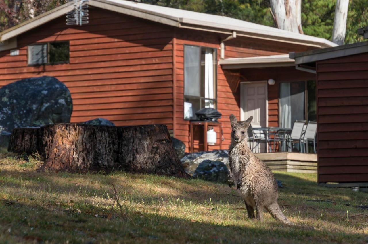 Wonderland Cottages Halls Gap Exterior photo